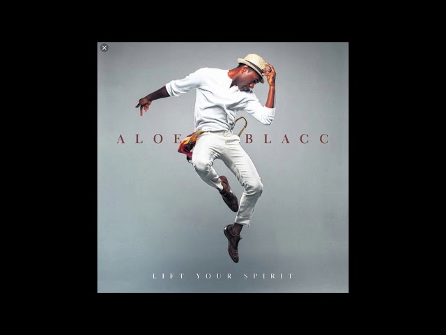 Постер Aloe Blacc - Chasing