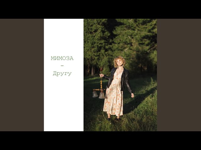 Постер Мимоза - Другу
