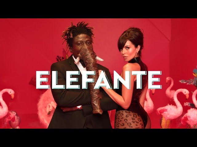 Постер NK (Настя Каменских) - ELEFANTE