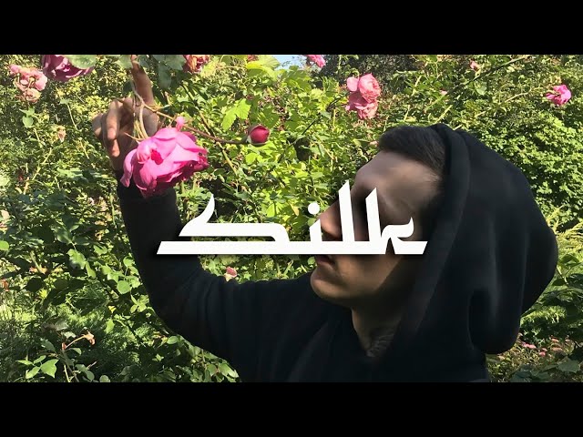Постер Mull3 - В забытом саду
