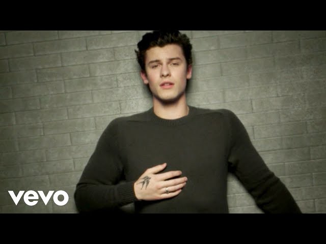 Постер Shawn Mendes - In My Blood