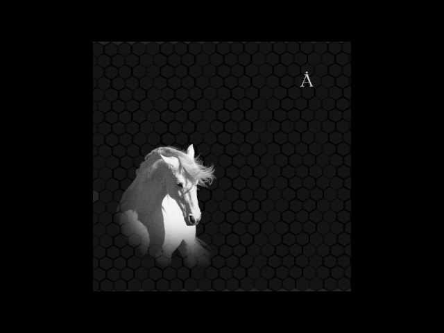 Постер Аквариум - Сокол