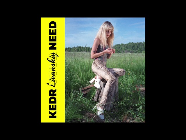 Постер Kedr Livanskyi - Why Love (Зачем любовь)