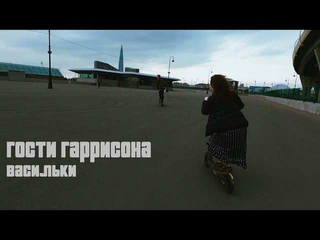 Постер Гости Гаррисона - Васильки