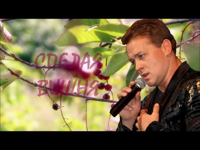 Постер Любавин Сергей - Спелая вишня