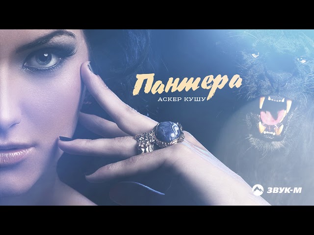 Постер Аскер Кушу - Пантера