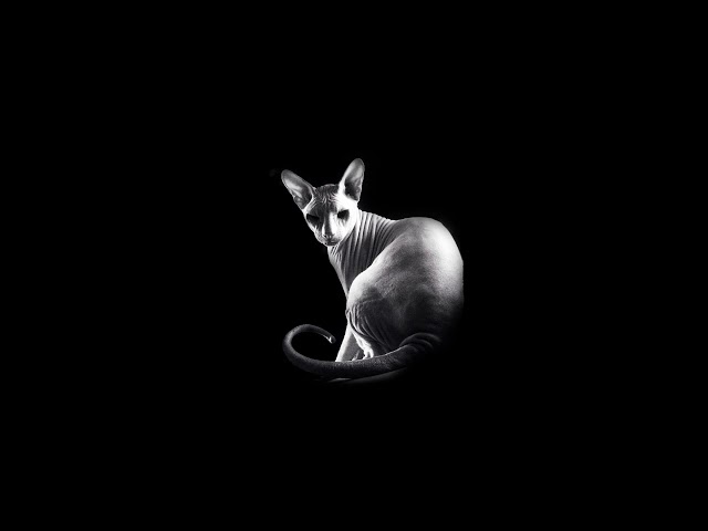 Постер AIMORI - Море