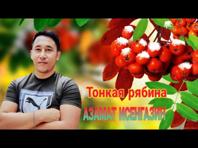 Постер Азамат Исенгазин - Тонкая Рябина