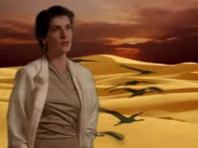 Постер Enya - Storms In Africa