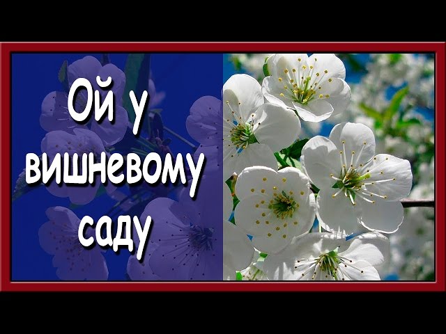 Постер Українська народна пісня - Ой у вишневому саду