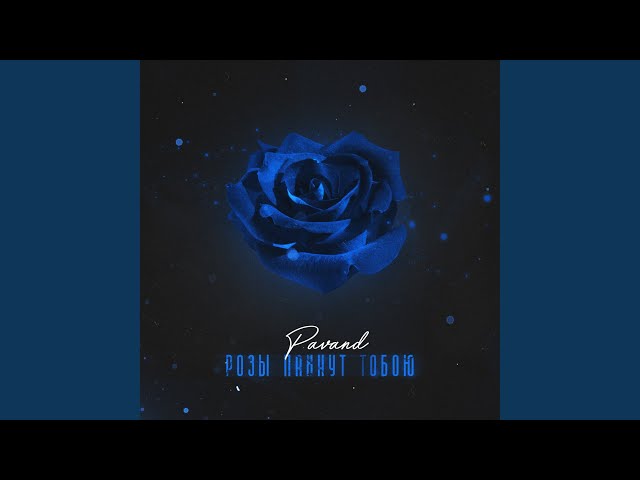 Постер PAVAND - Розы пахнут тобою