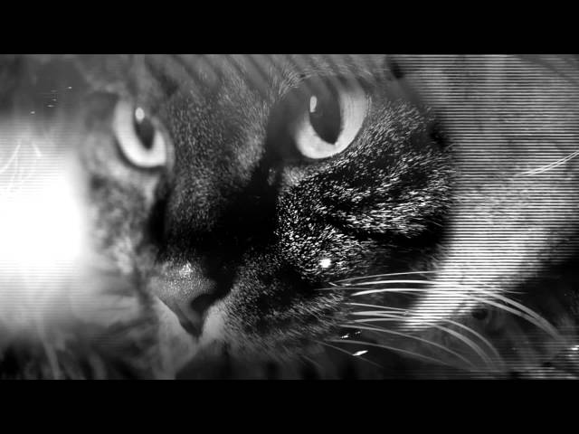 Постер The Black Angels - Manipulation