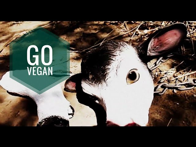 Постер Я Vegan - Земляне