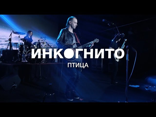Постер Инкогнито - Птица