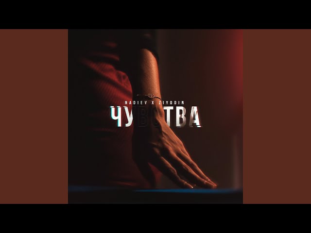 Постер NADIEV, ZIYDDIN - Чувства