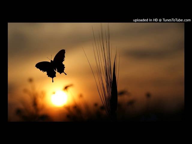 Постер Kravitz Lenny - Butterfly