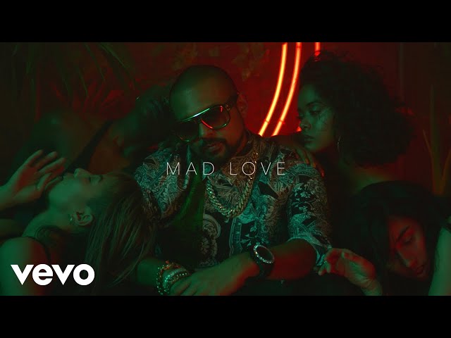 Постер Sean Paul & David Guetta - Mad Love