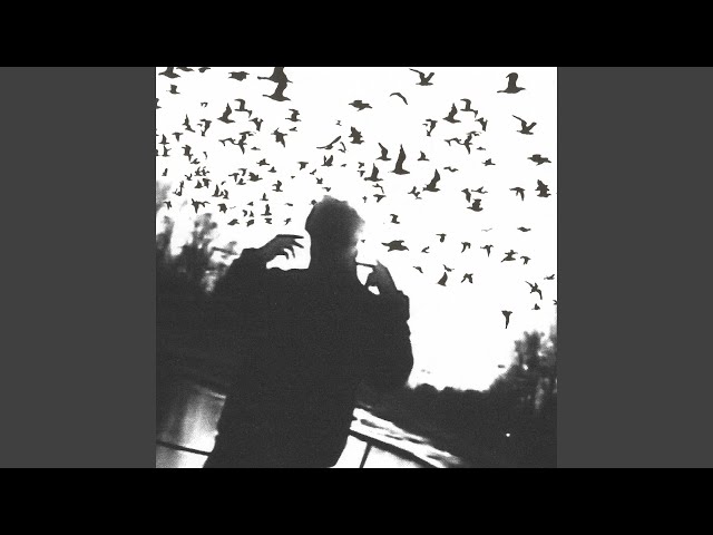 Постер Hugo Loud - Птички
