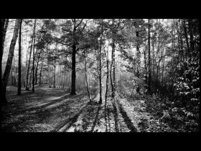 Постер Олег Скобля - Осень