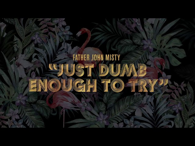 Постер Father John Misty - Just Dumb Enough To Try