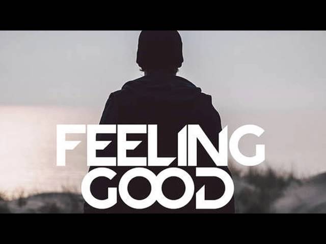 Постер Avicii - Feeling Good