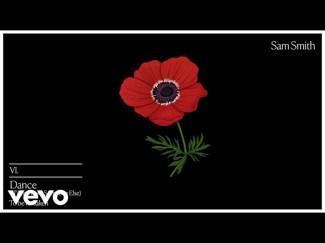Постер Sam Smith - Dance